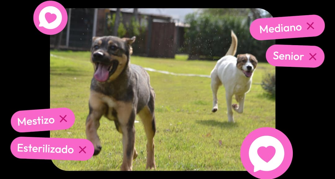 Navega fácilmente por ellas