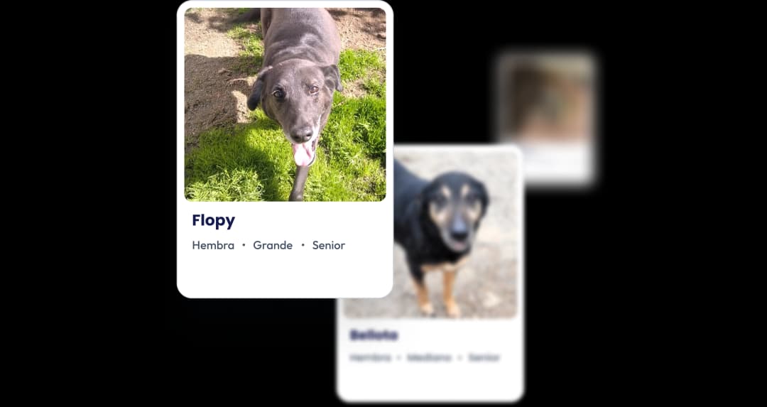 Todas las mascotas, un sólo lugar