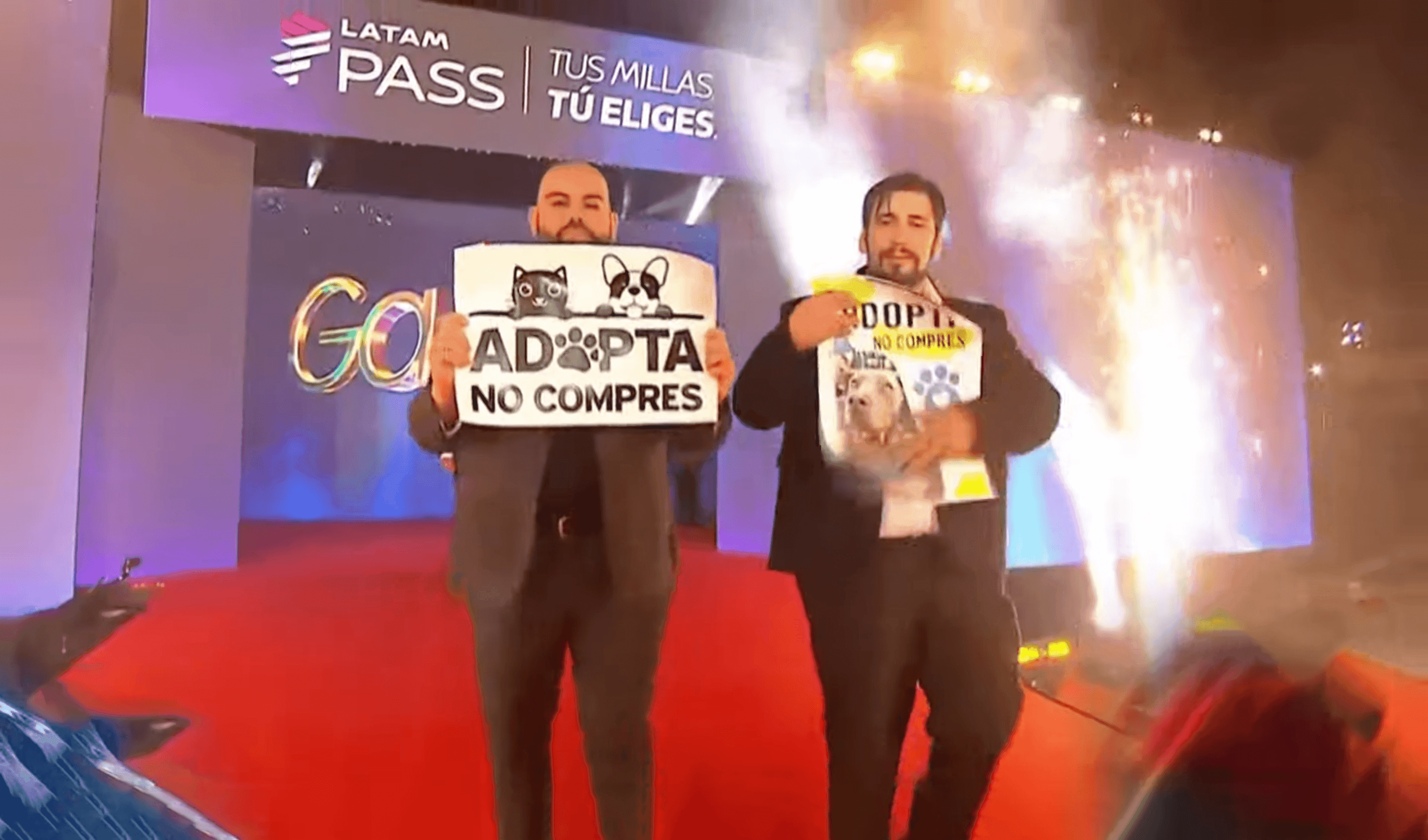 Adopta, no compres: El mensaje que nos dejó la gala del Festival de Viña 2025