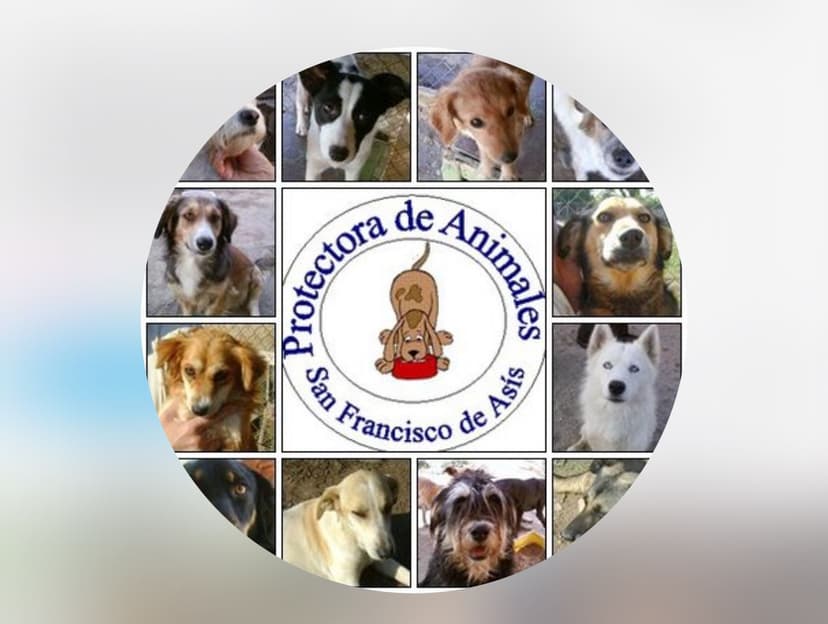 Protectora San Francisco de Asis Melipilla