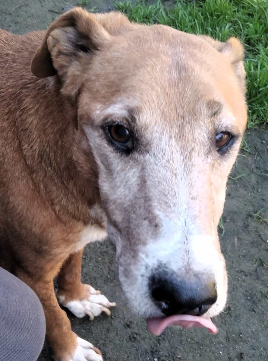 Foto de MOKA
