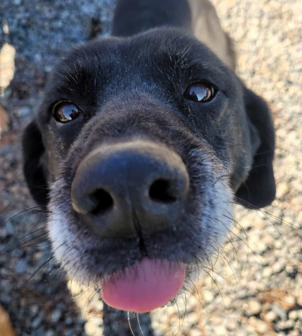 Foto de Niña