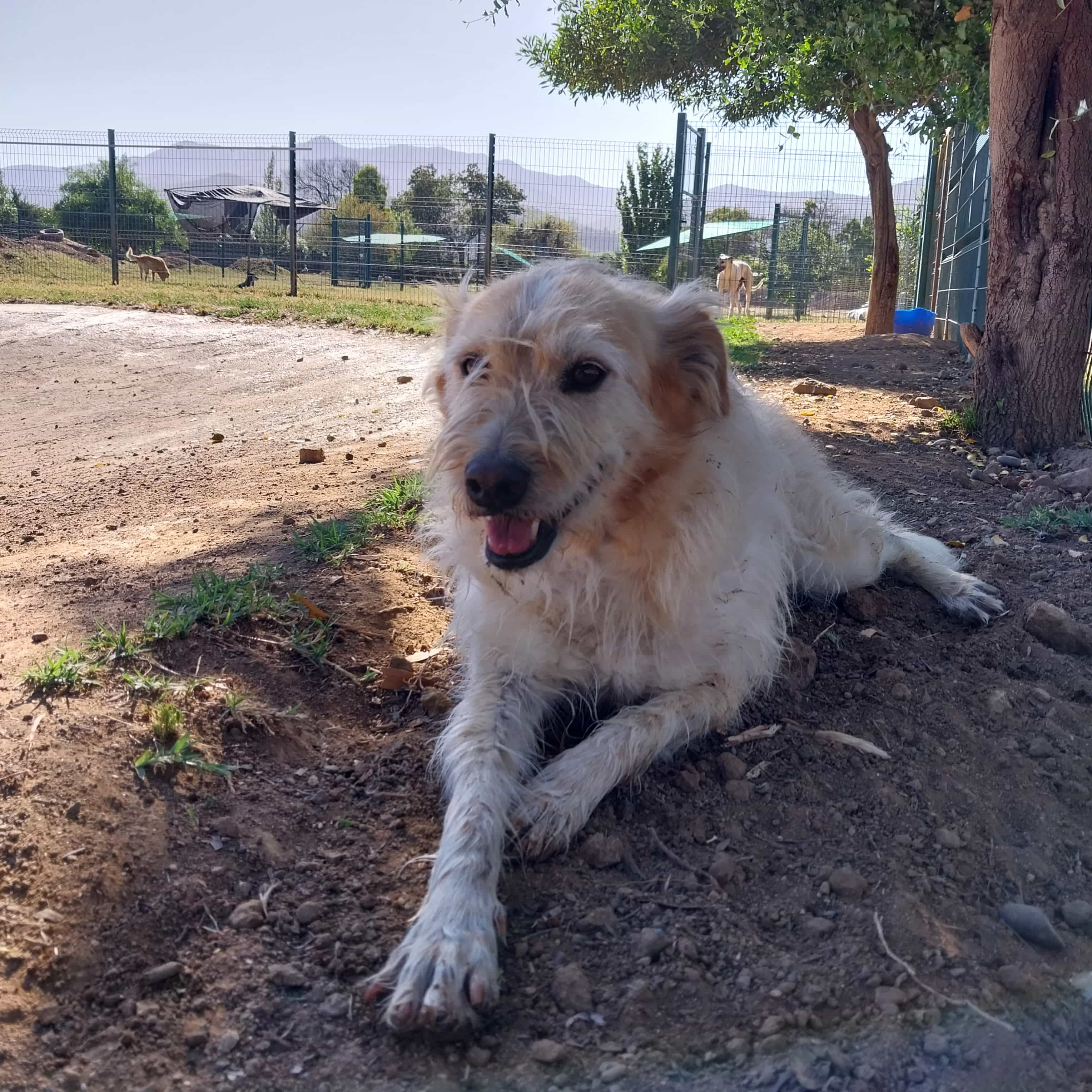 Foto de Miel