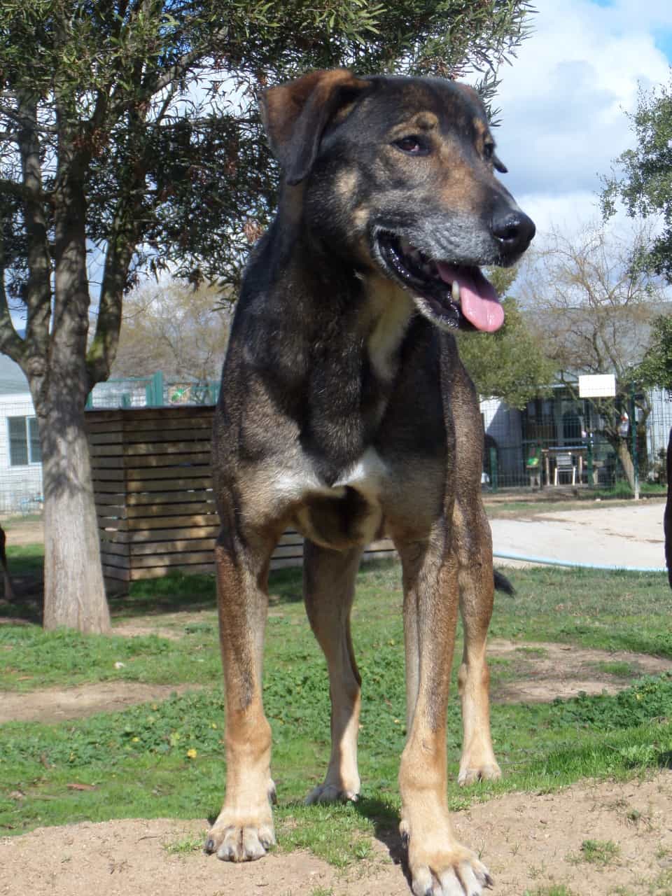 Foto de George