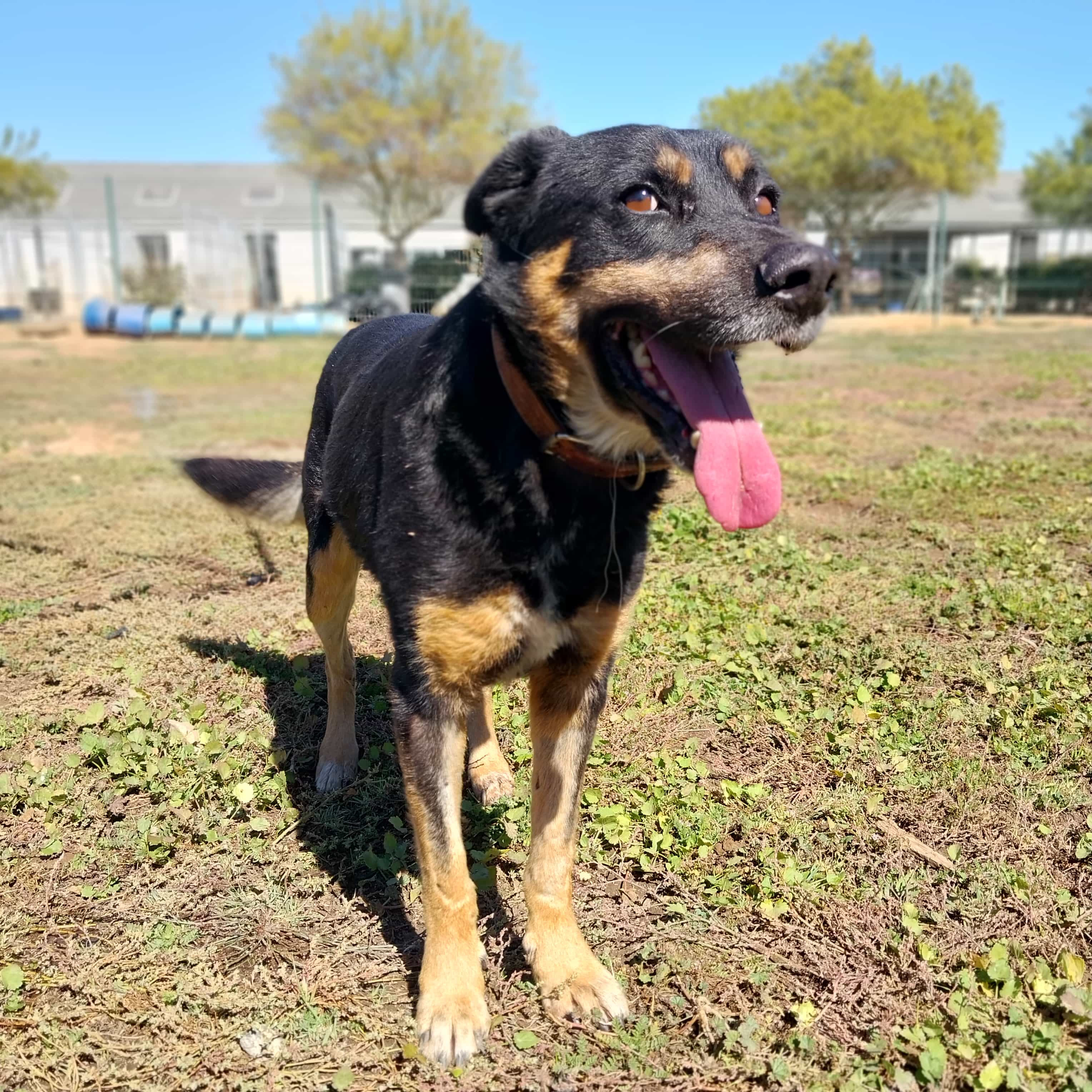 Foto de Zeus
