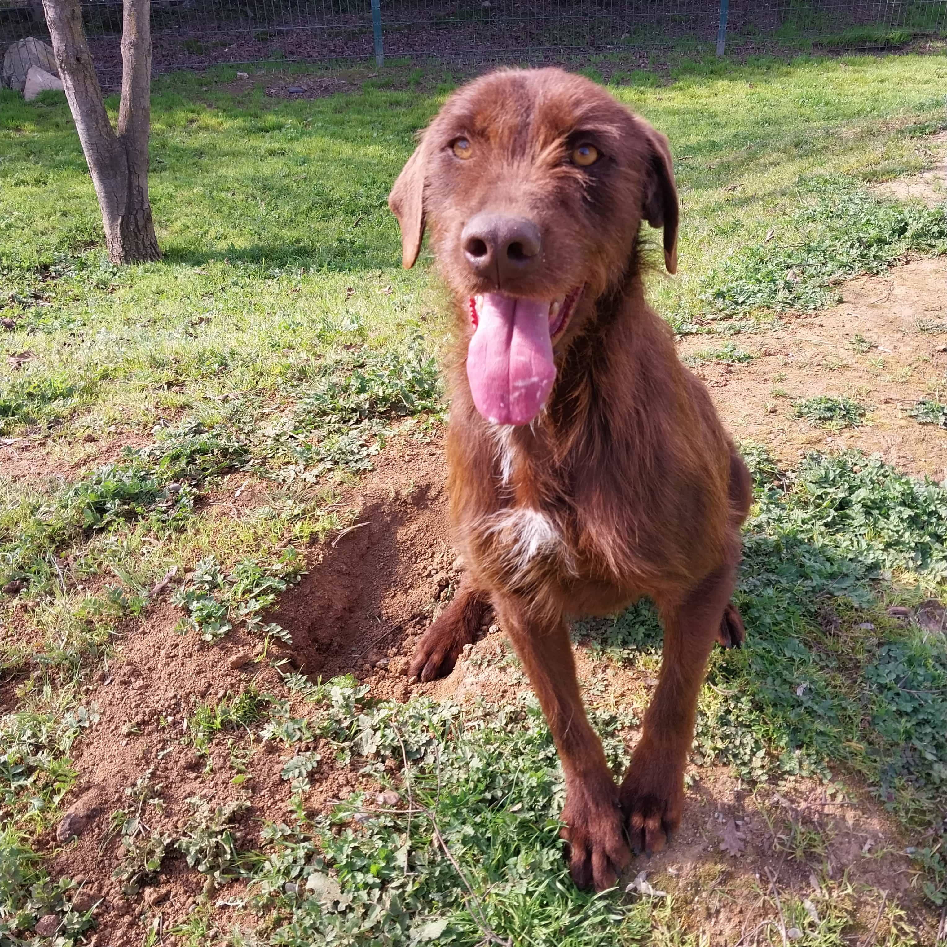 Foto de Serena