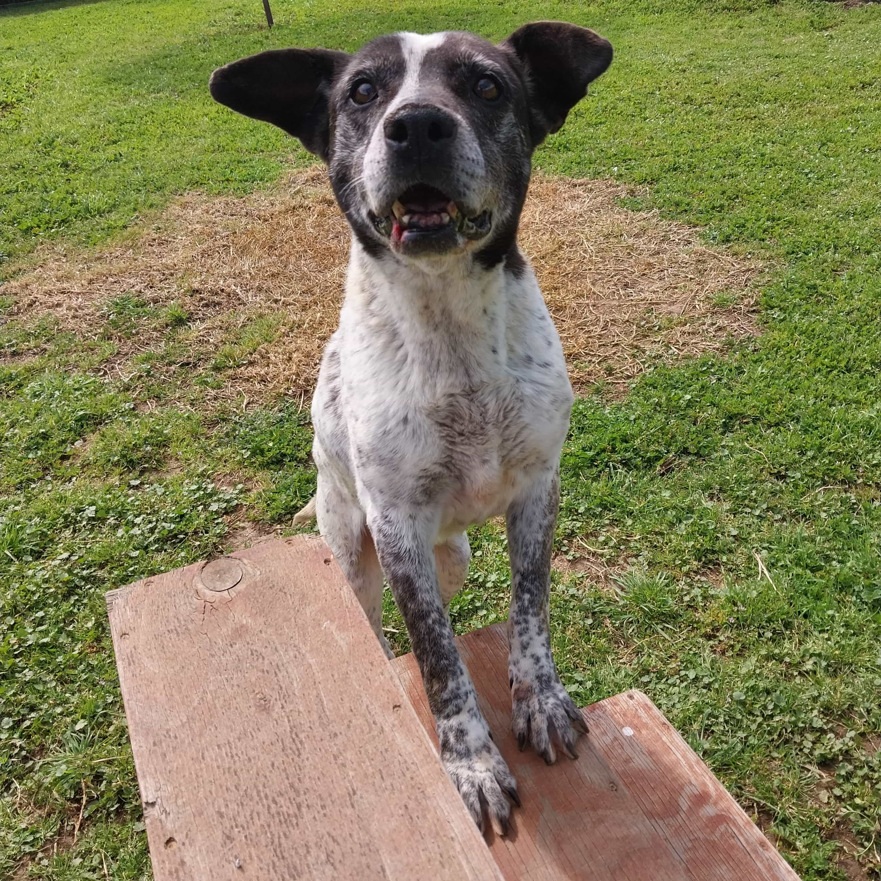 Foto de Manchita