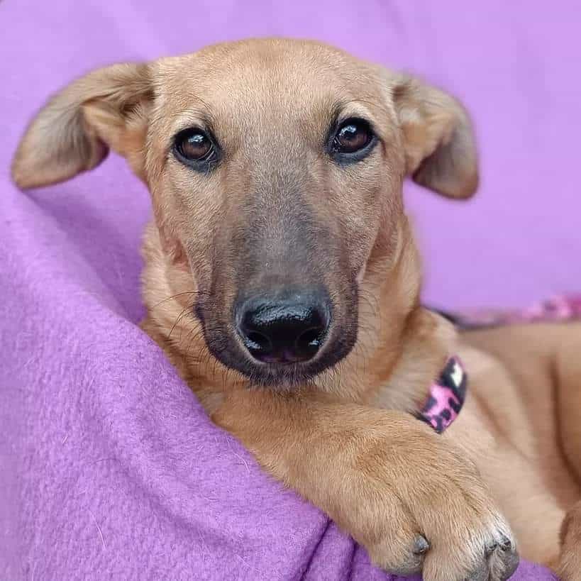 Foto de Lulita