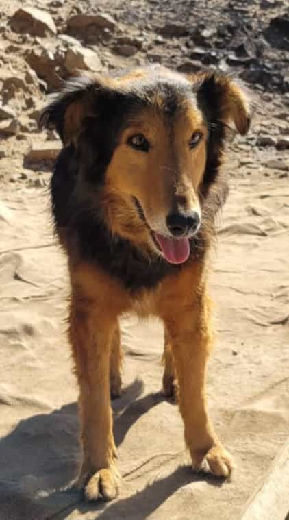Foto de Bety