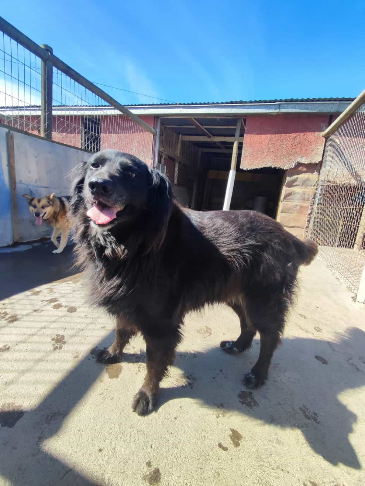 Foto de Caro