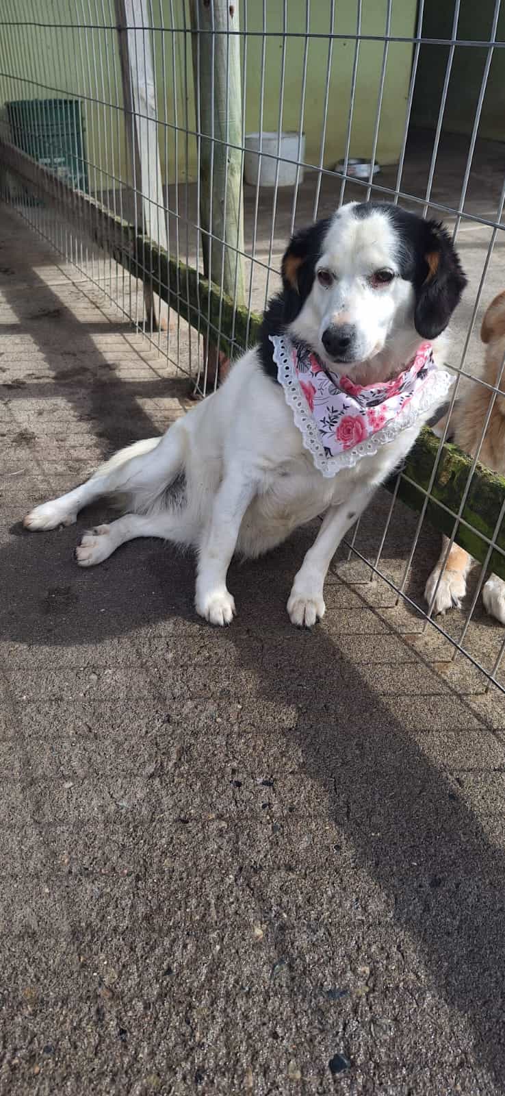 Foto de Blanquita