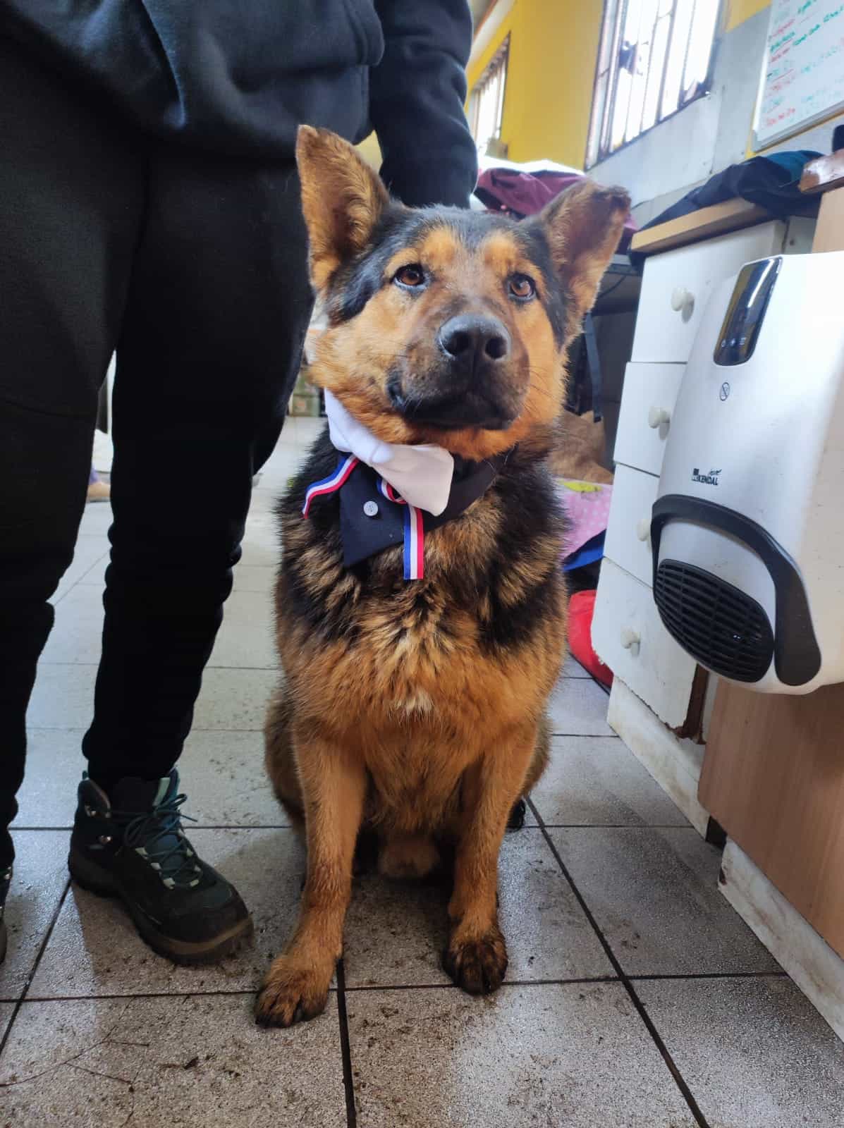 Foto de Rolo
