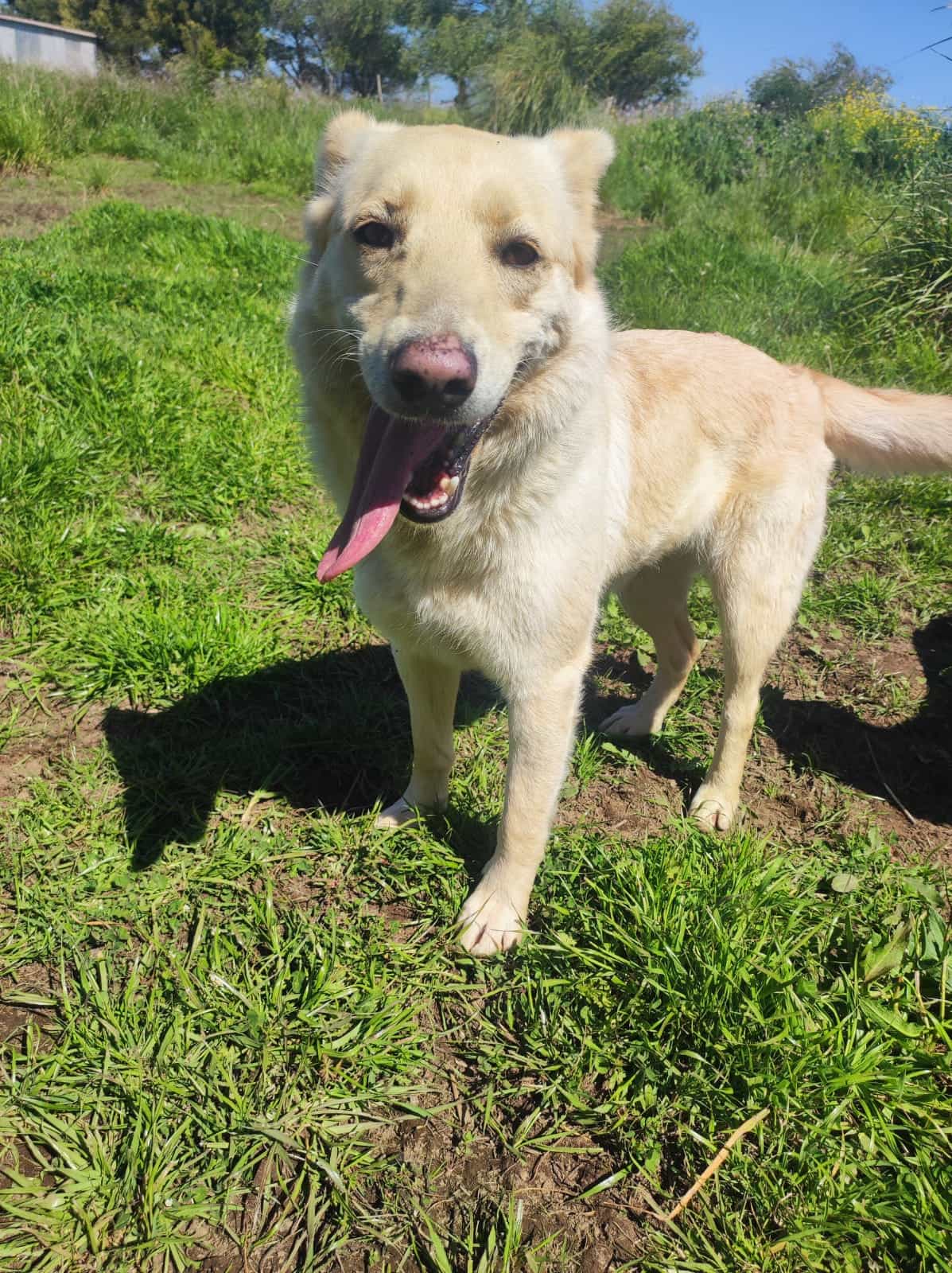 Foto de Mavis