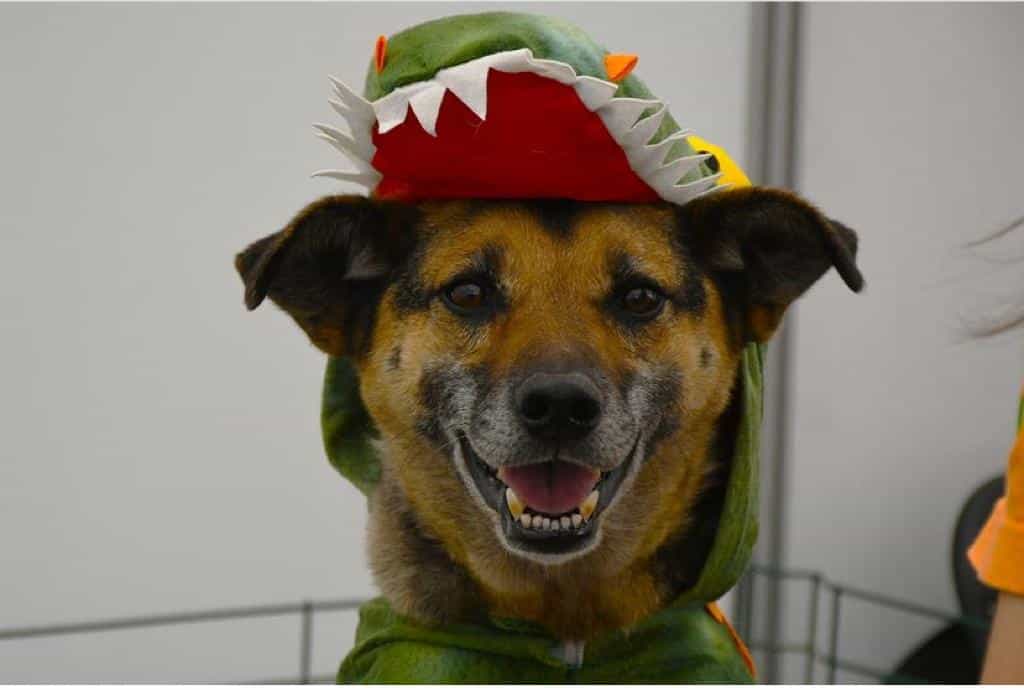 Foto de Checho