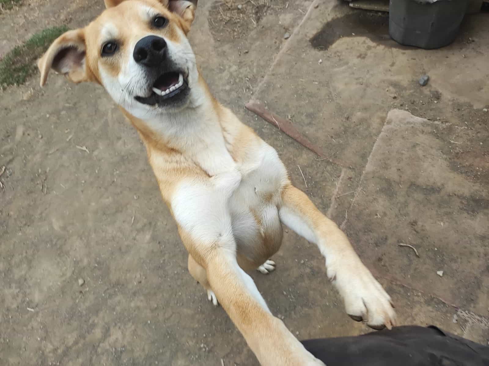 Foto de Cal