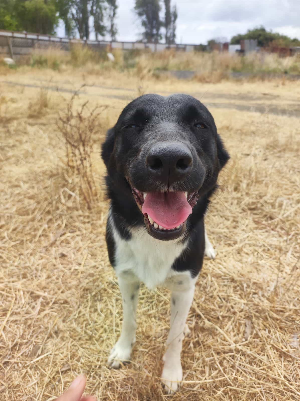 Foto de Lola