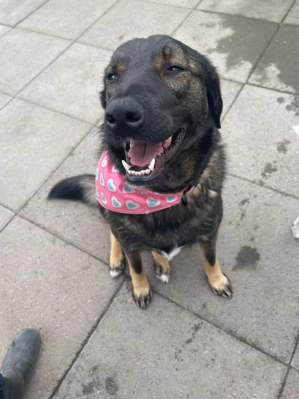 Foto de Kira