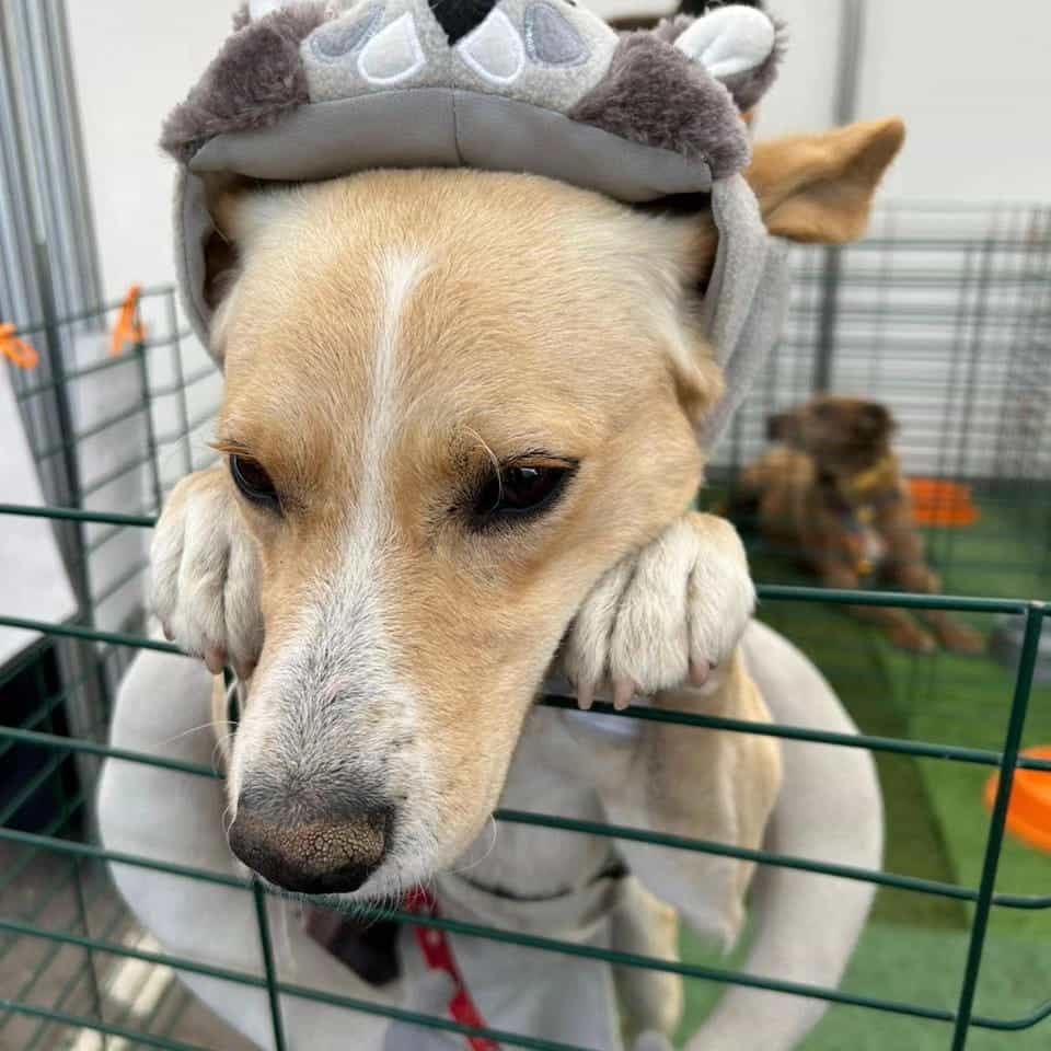 Foto de Timón