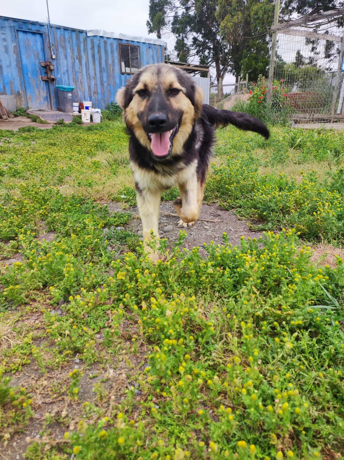 Foto de Mulán