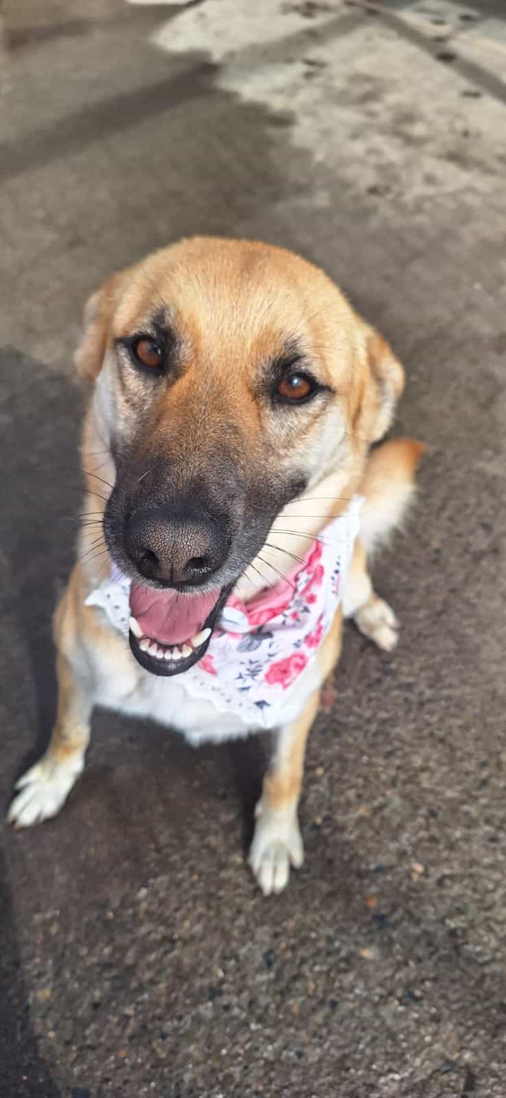 Foto de Nina