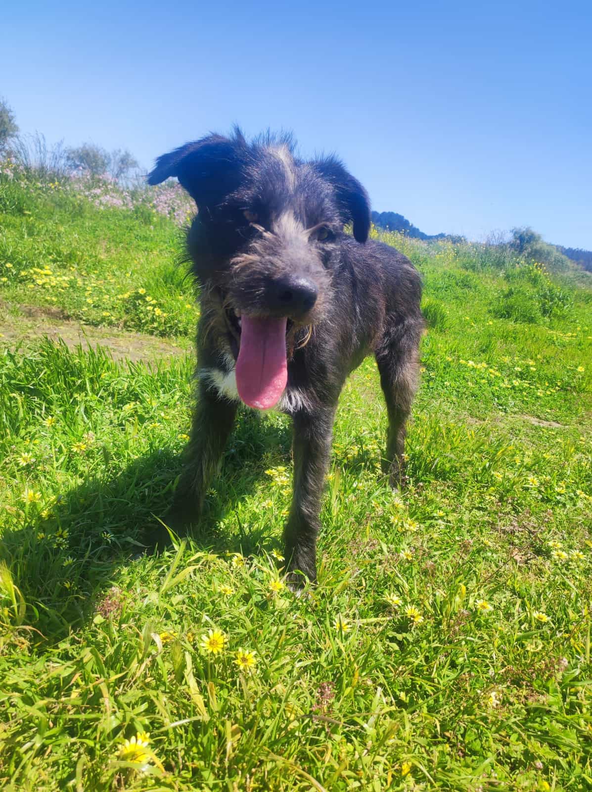 Foto de Hugo