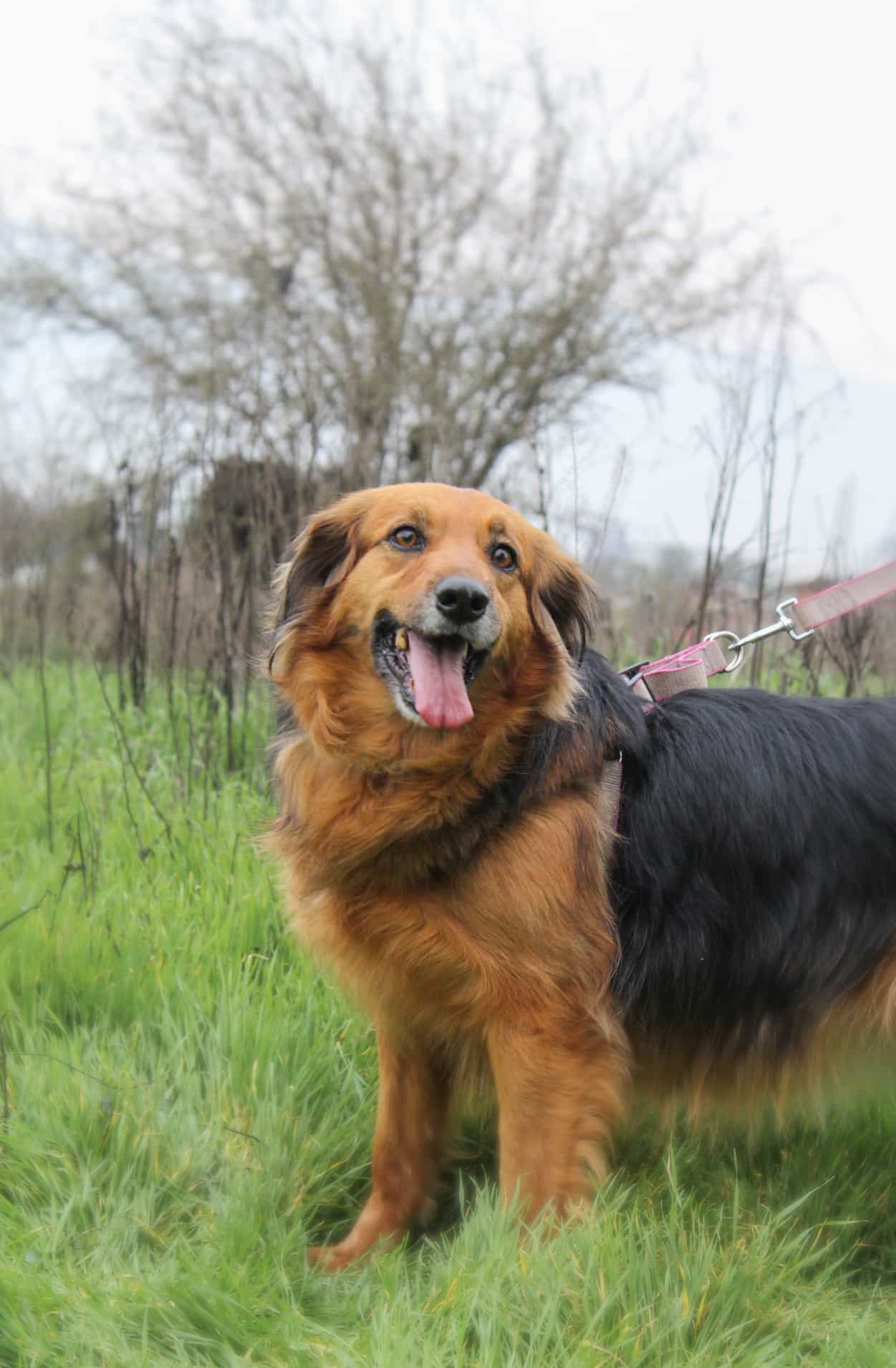 Foto de Princesa