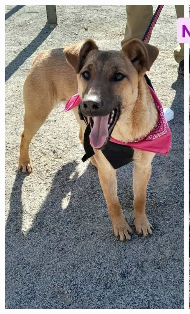 Foto de INESITA