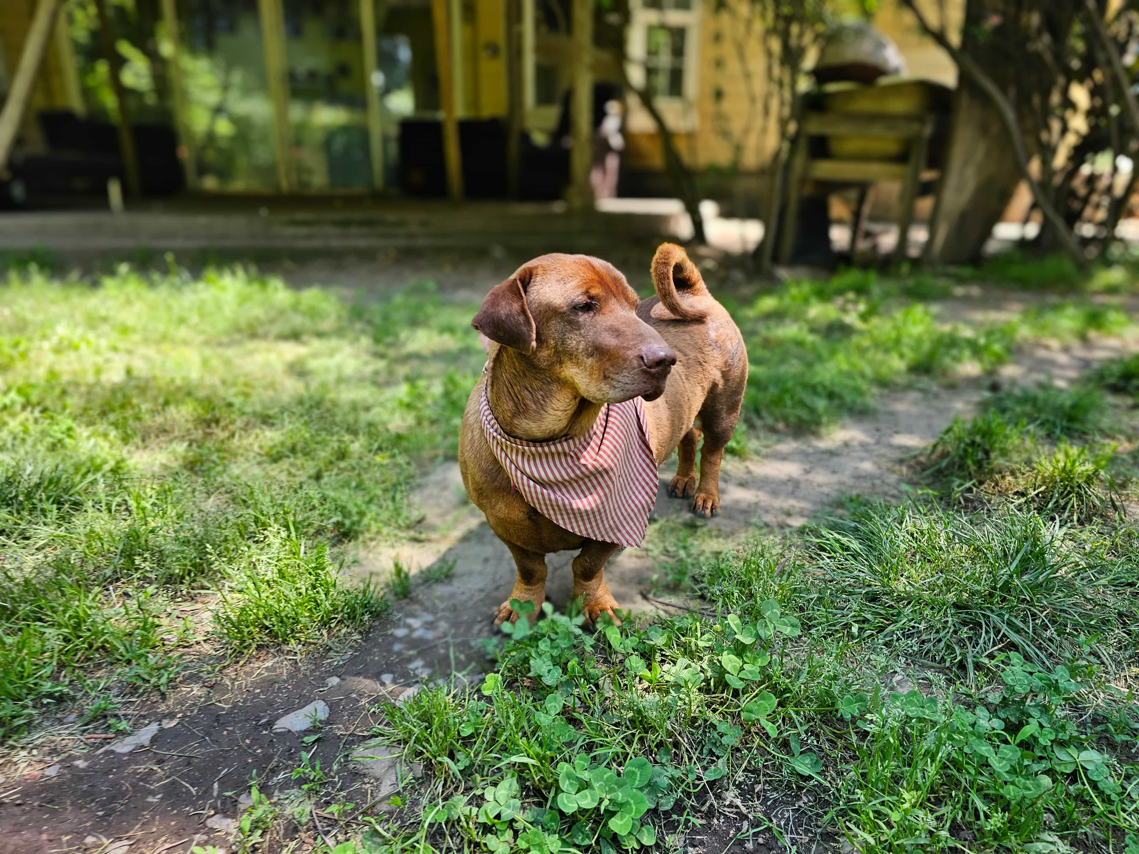 Foto de Mingo