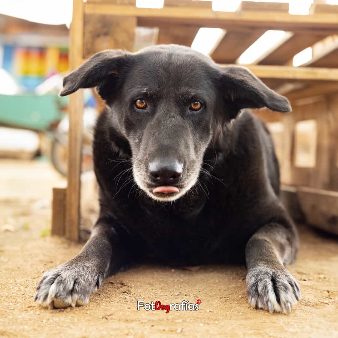 Foto de Niña