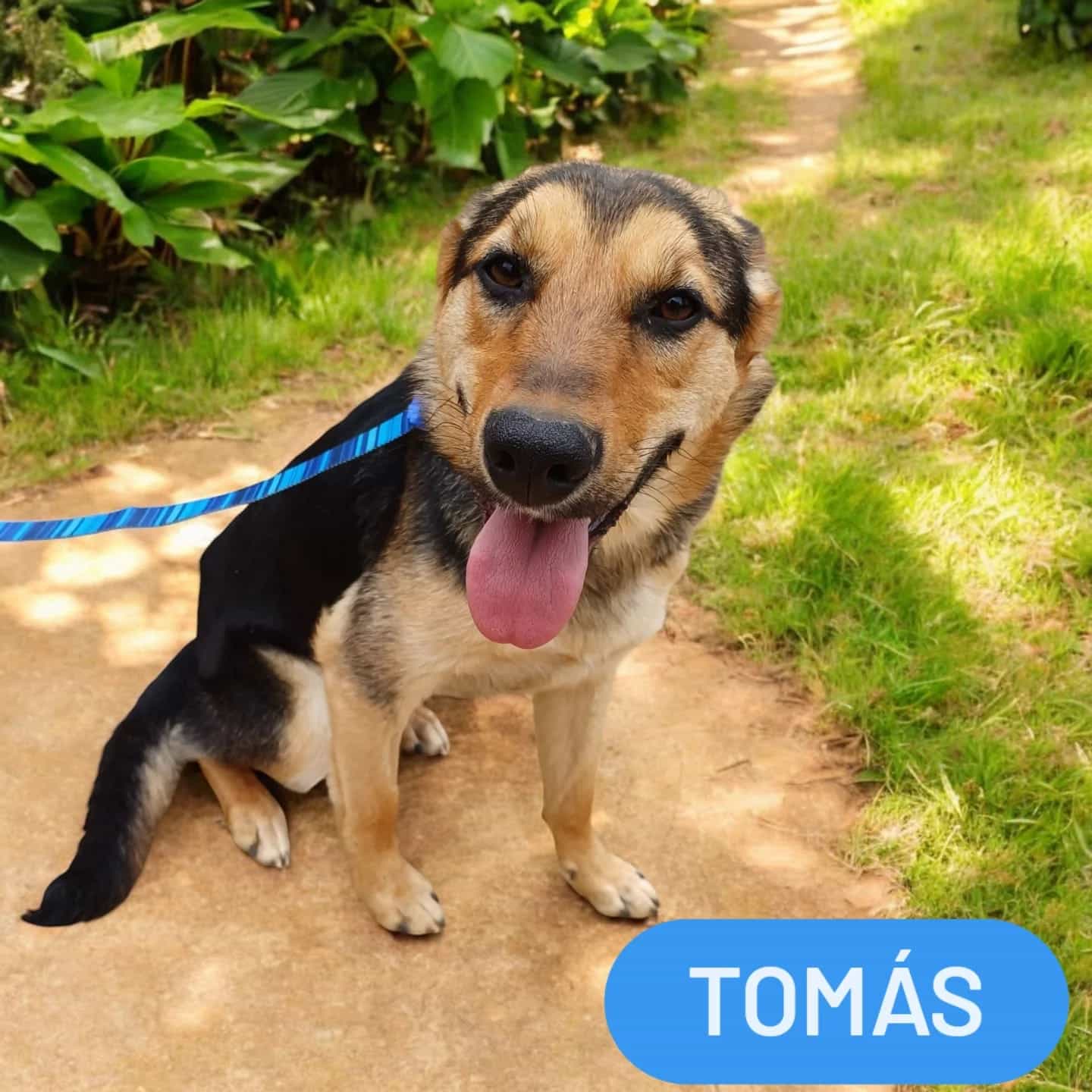 Foto de TOMÁS