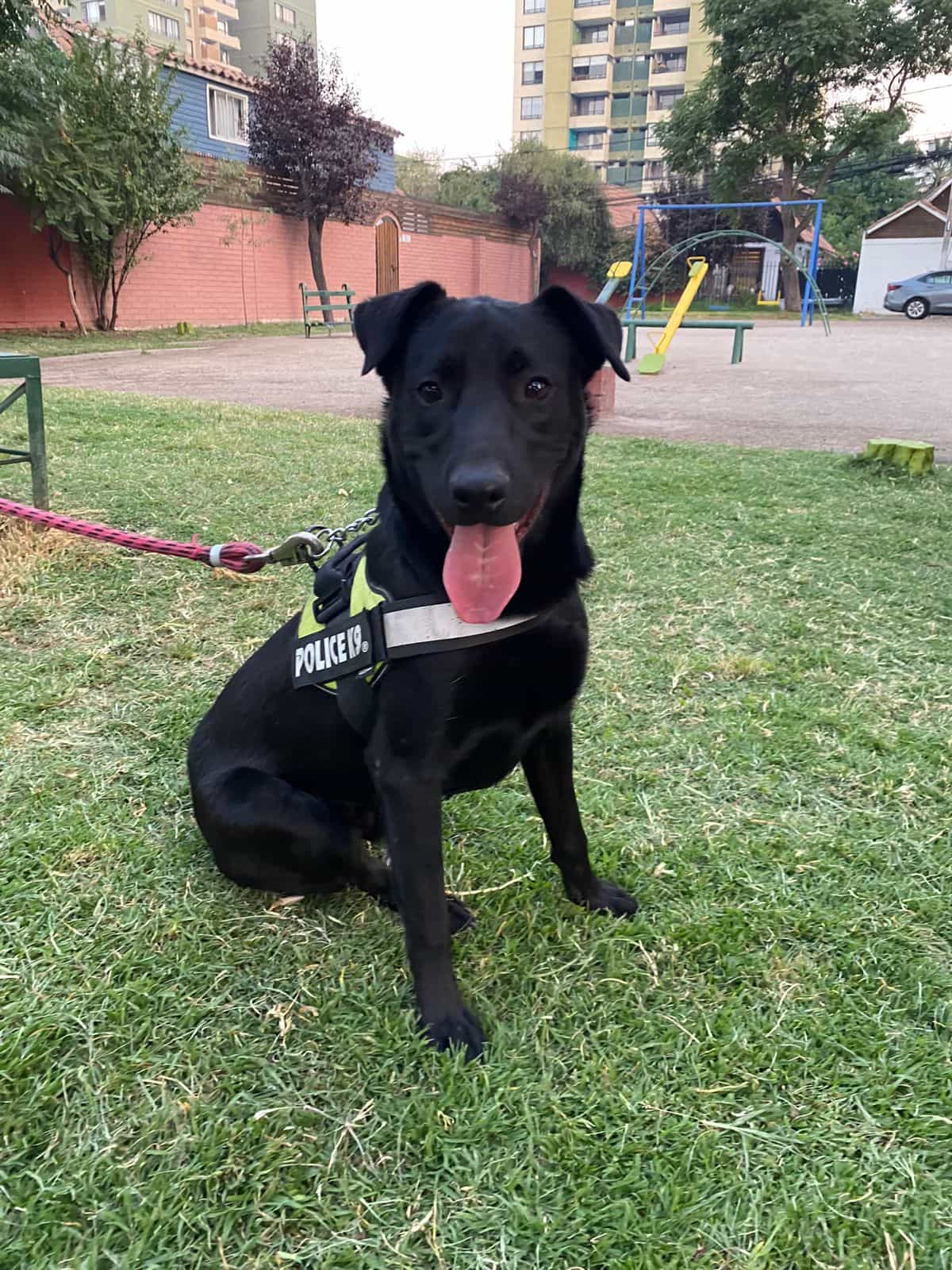Foto de Simón