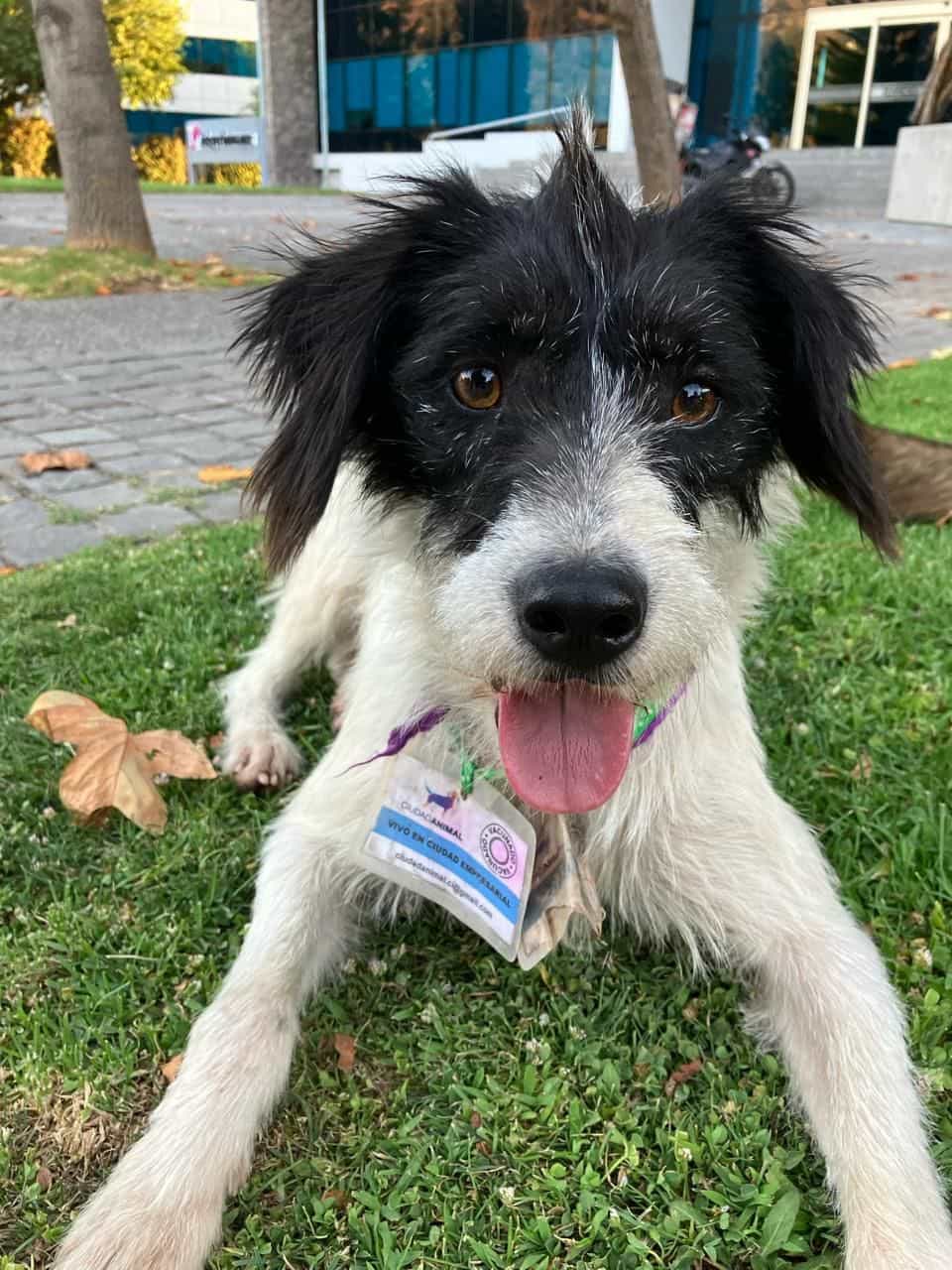 Foto de Bianco