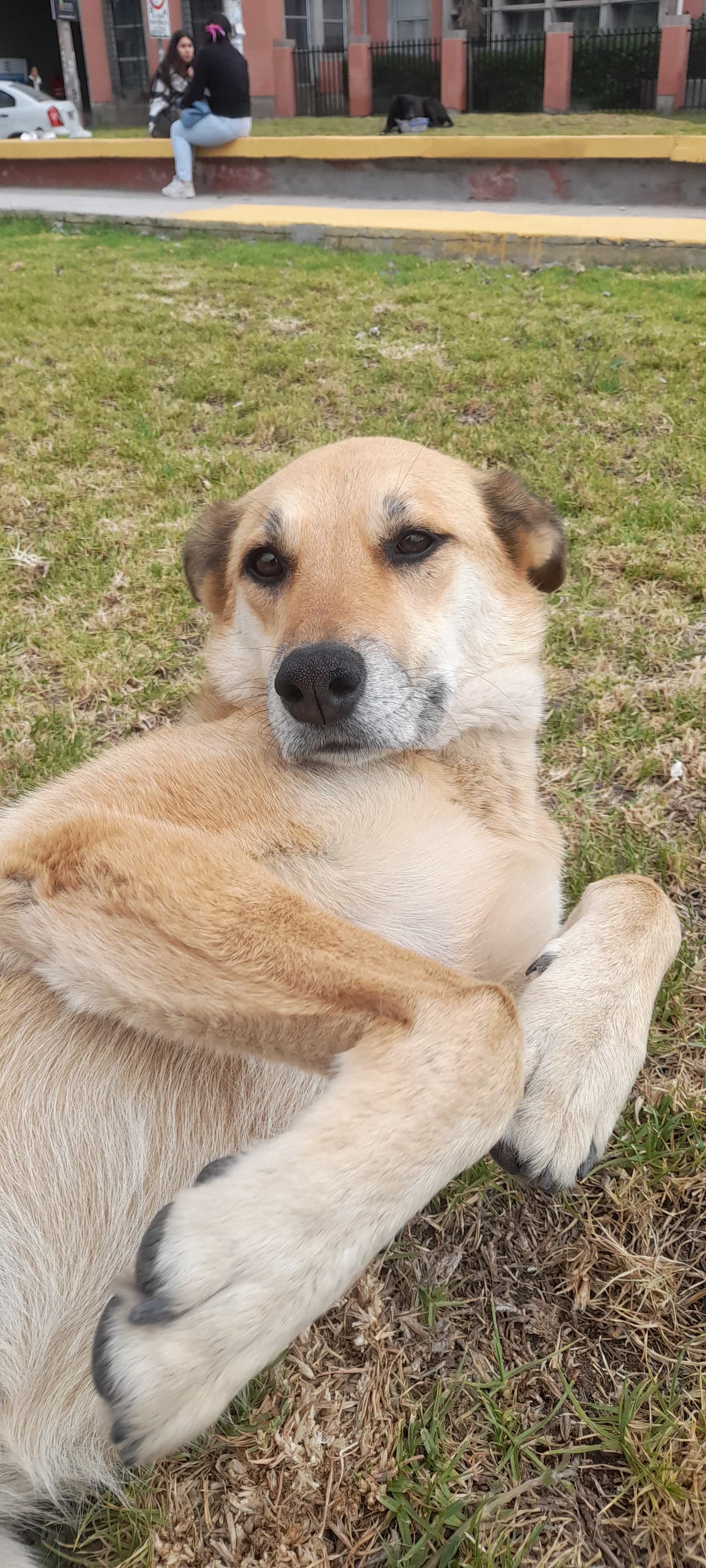 Foto de Molly