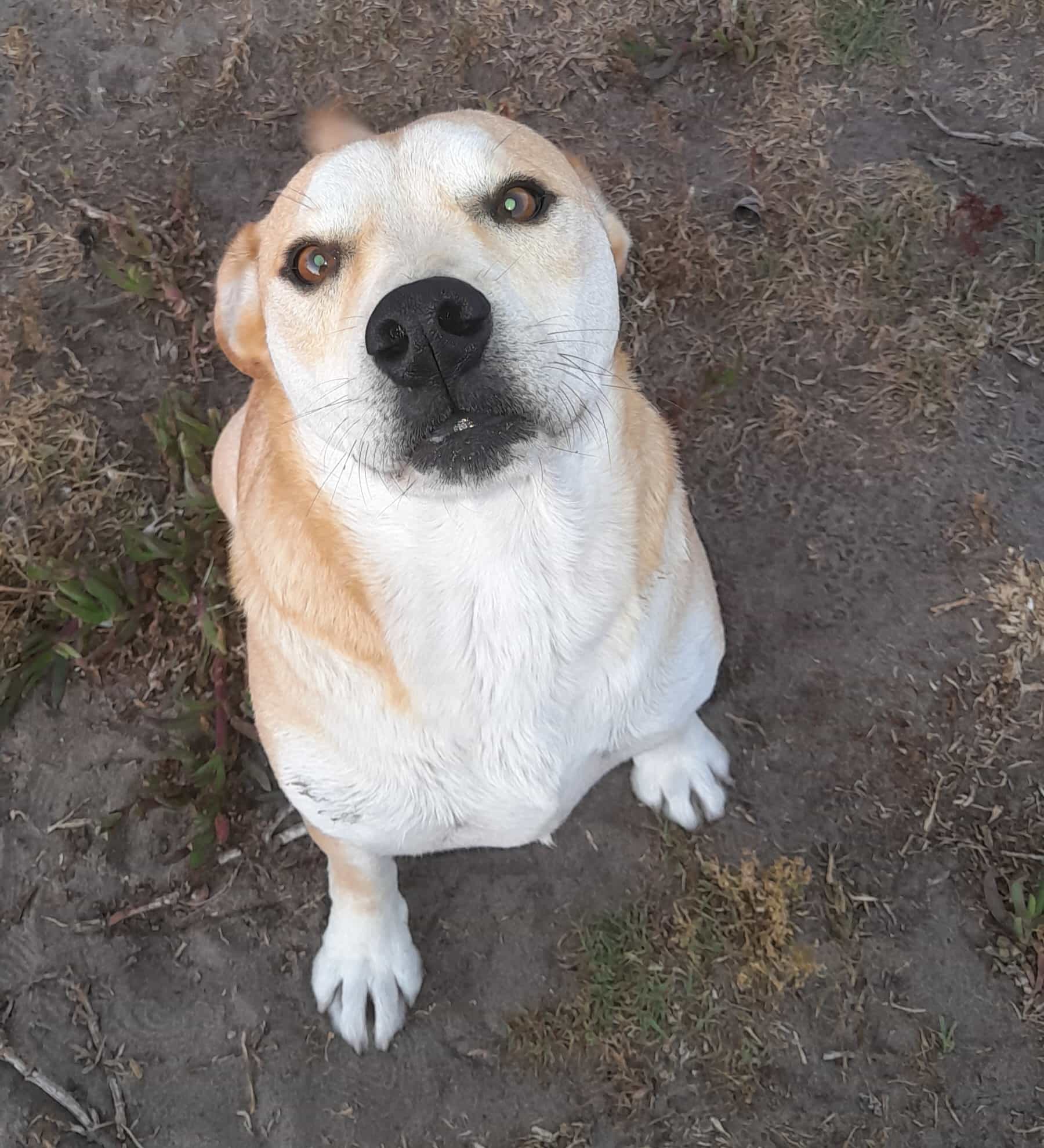 Foto de Carita Contenta