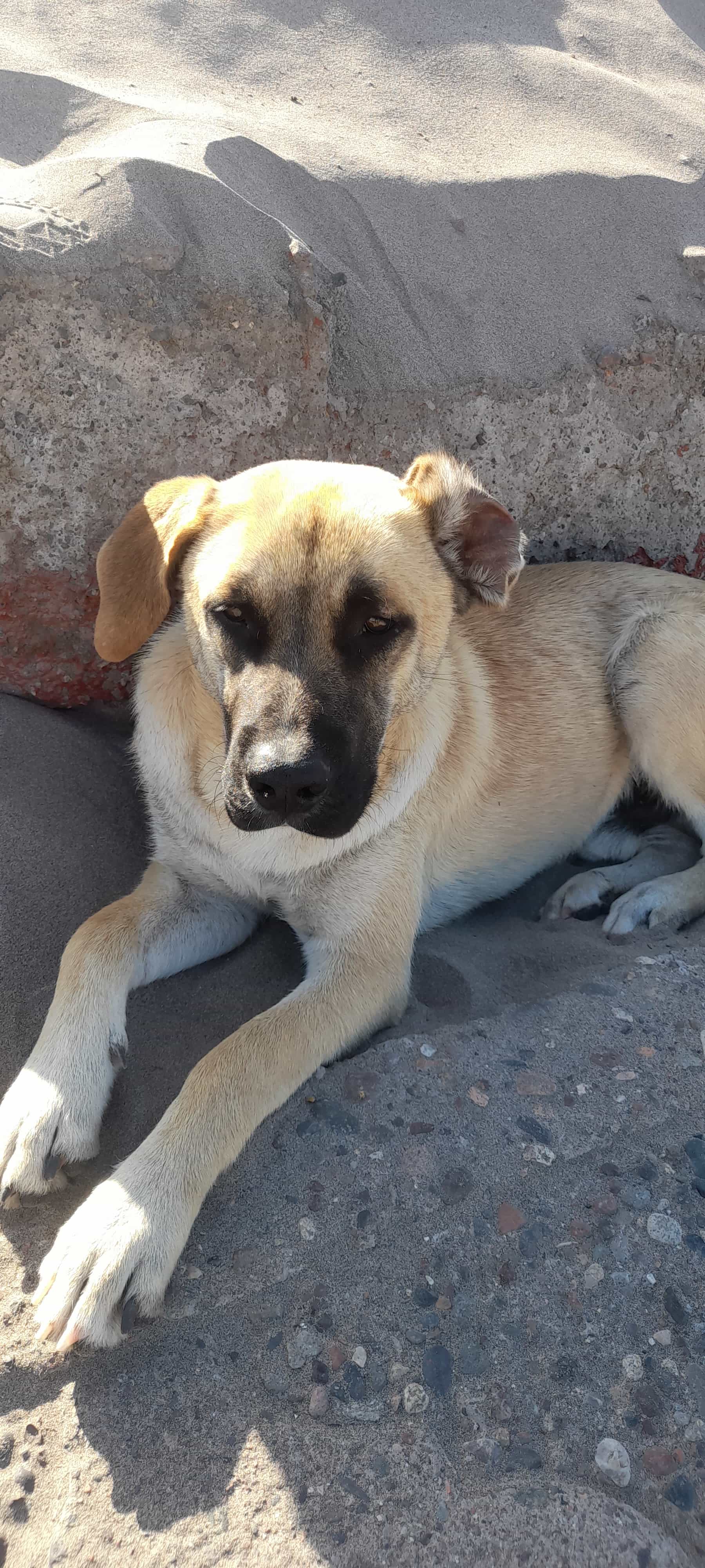 Foto de Pupi