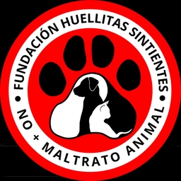 Huellitas Sintientes