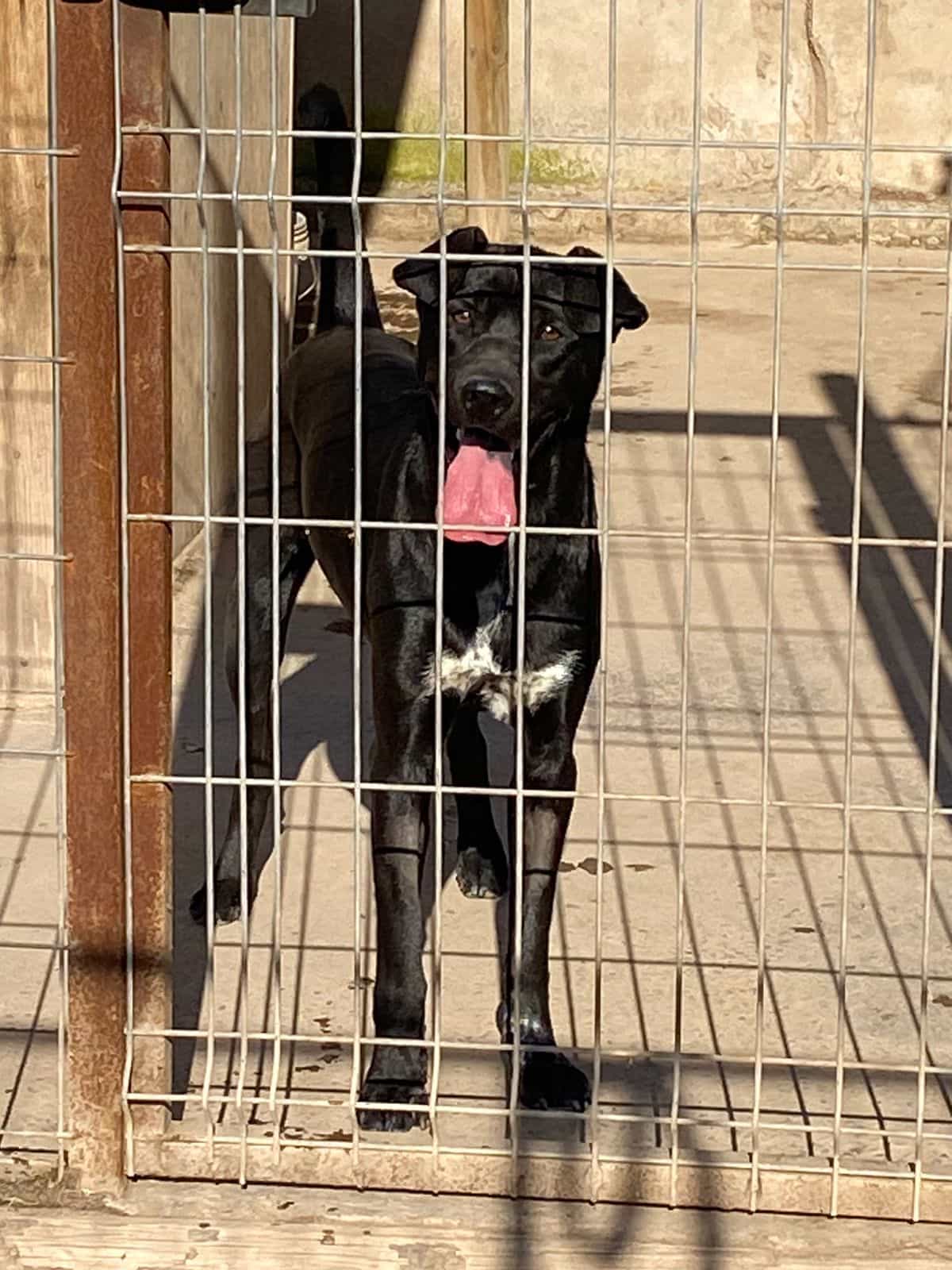 Foto de DIEGO
