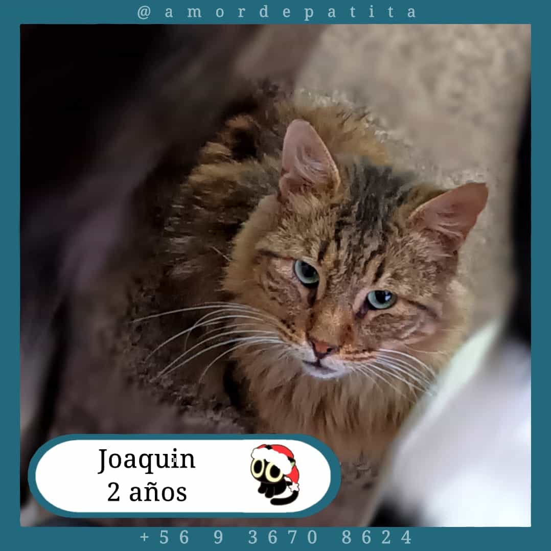 Foto de Joaquín