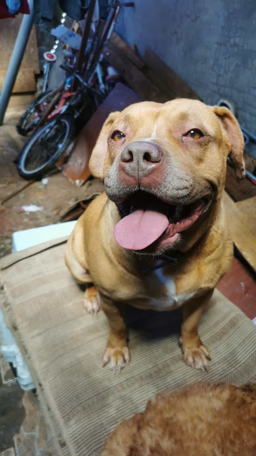 Foto de esmeralda