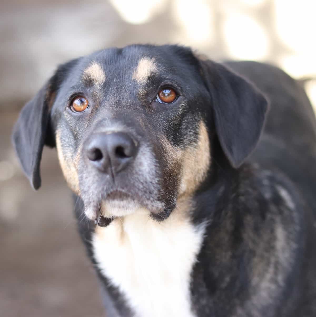 Foto de Fred