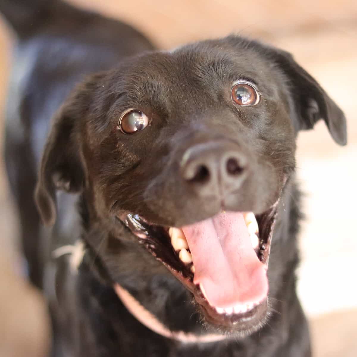 Foto de Elsa