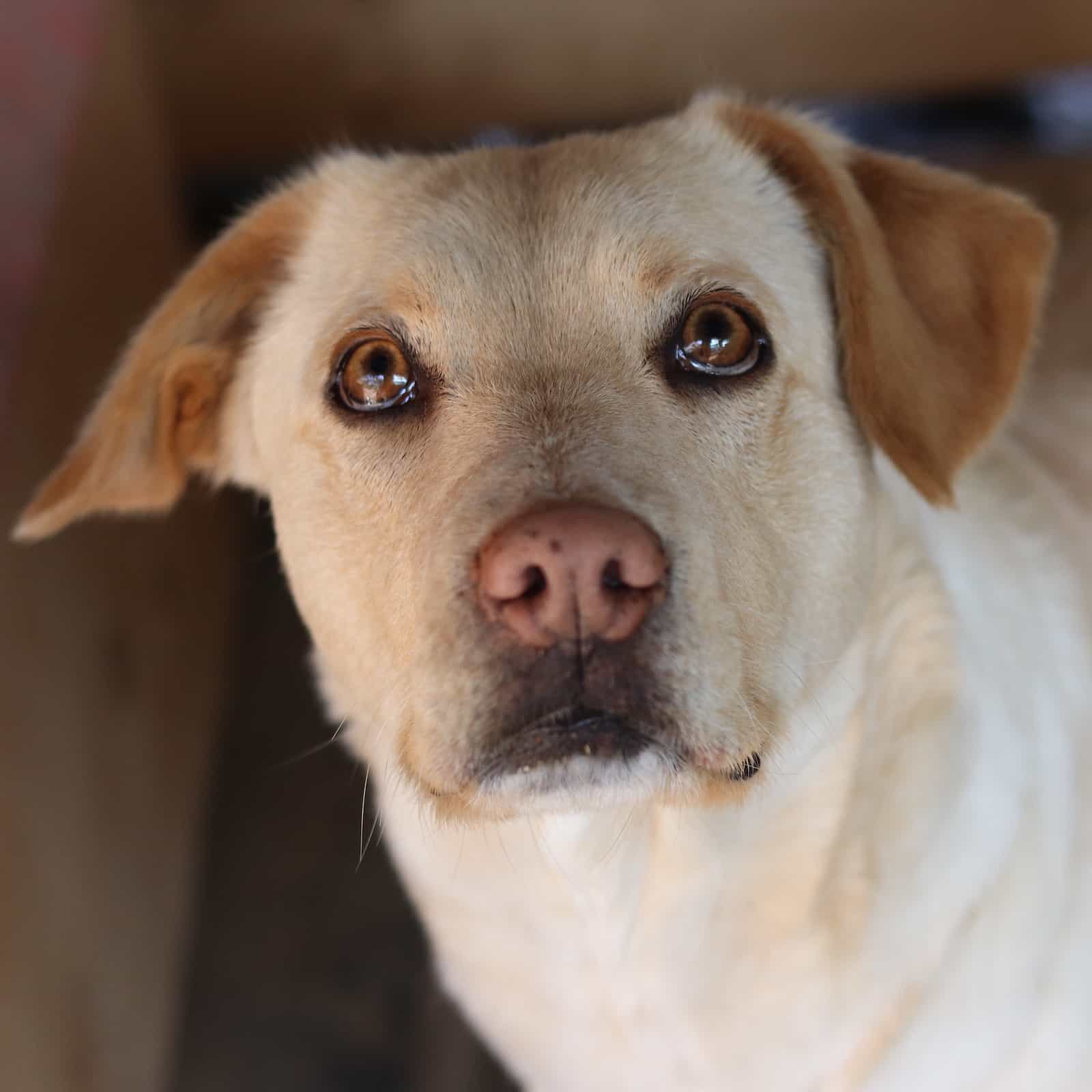 Foto de Marla