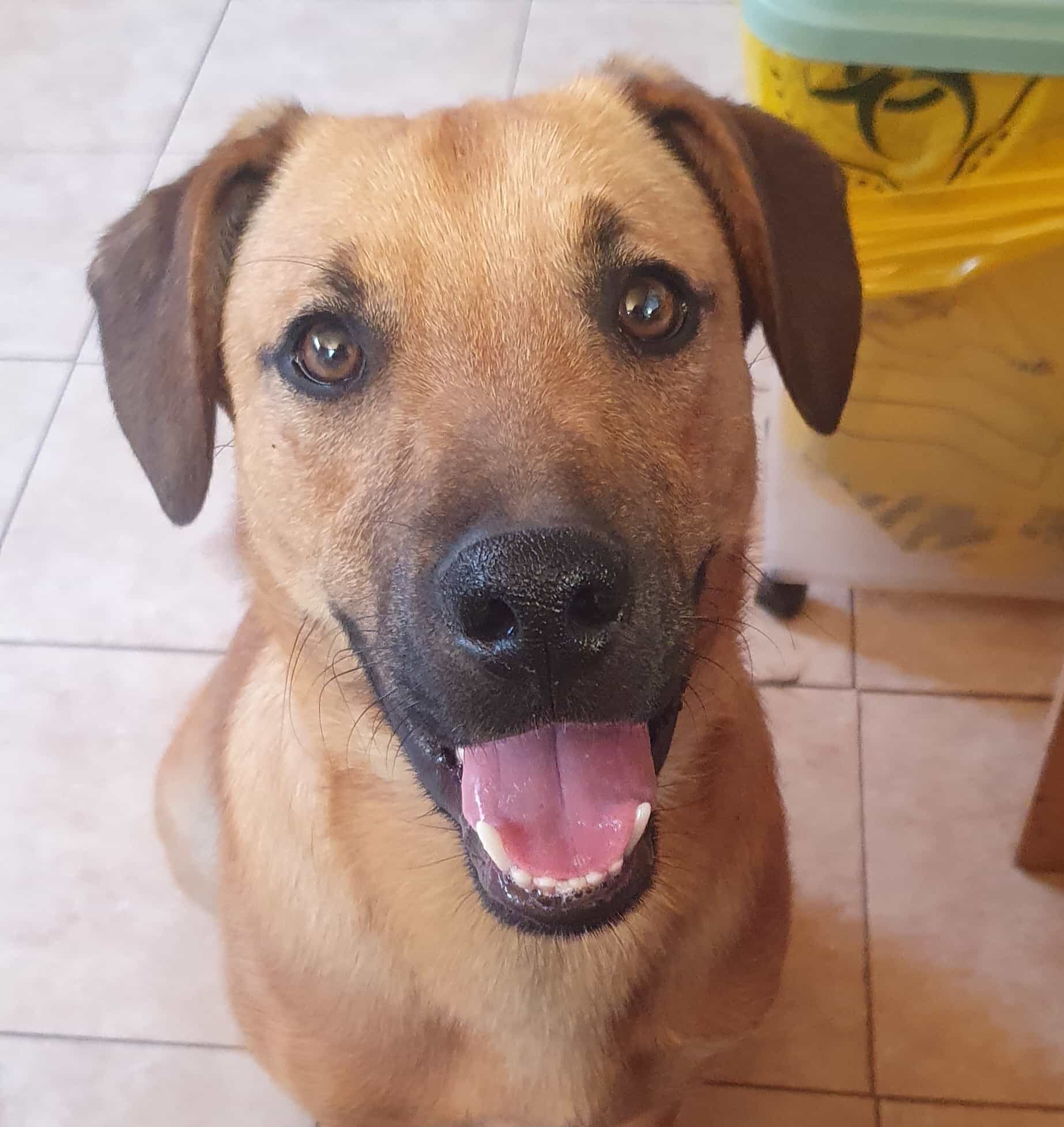 Foto de Pierre