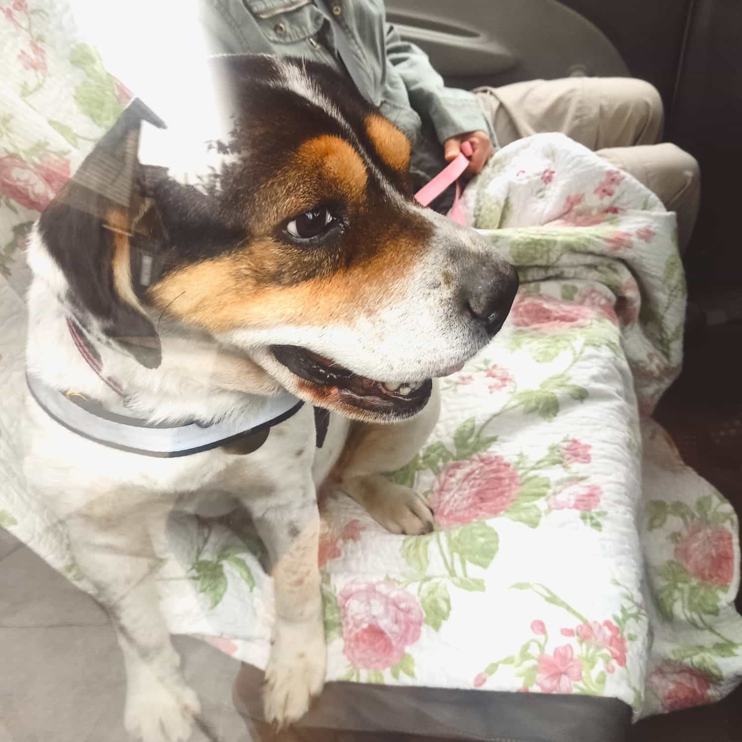Foto de Blanquita