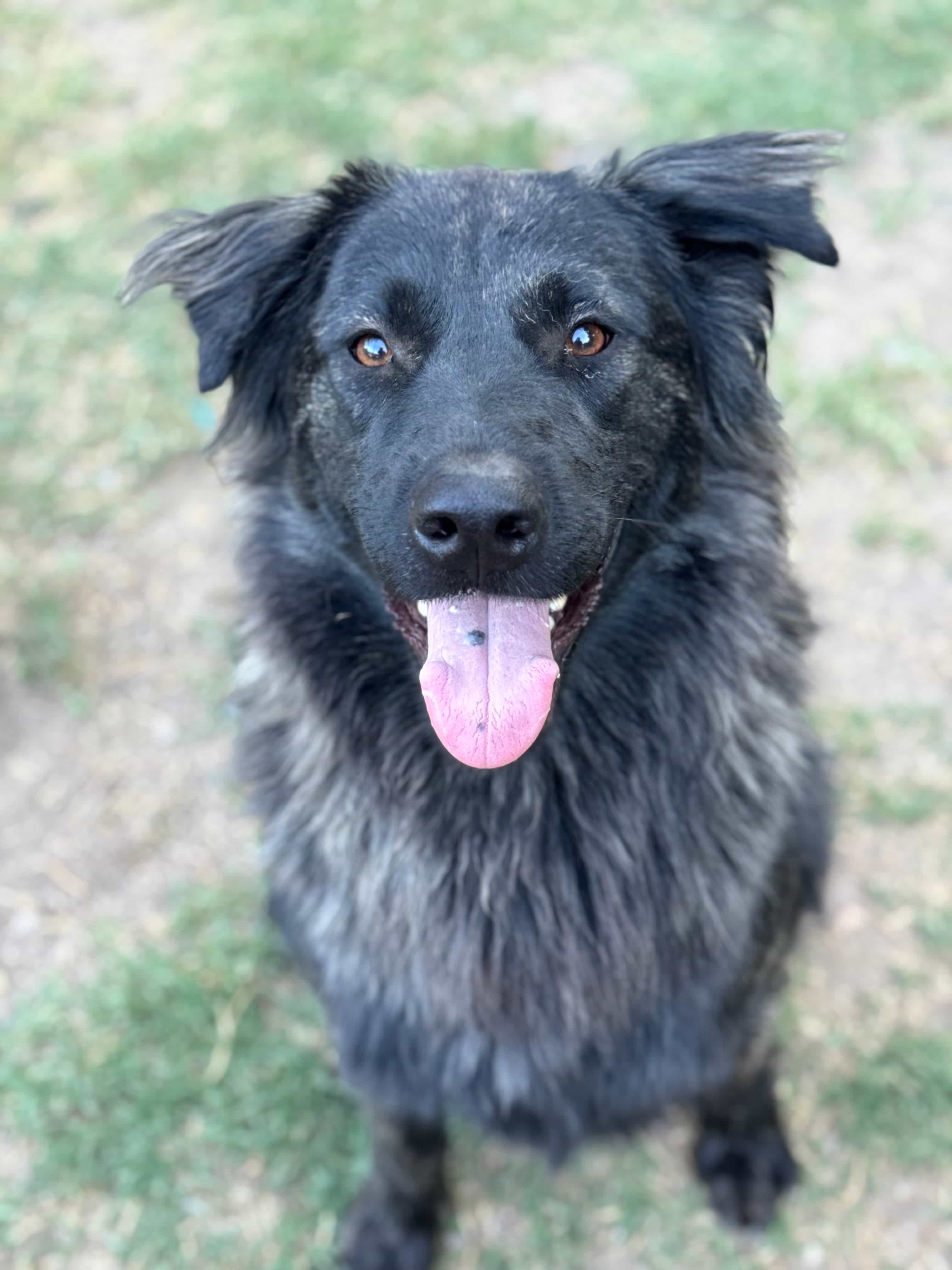 Foto de Taco