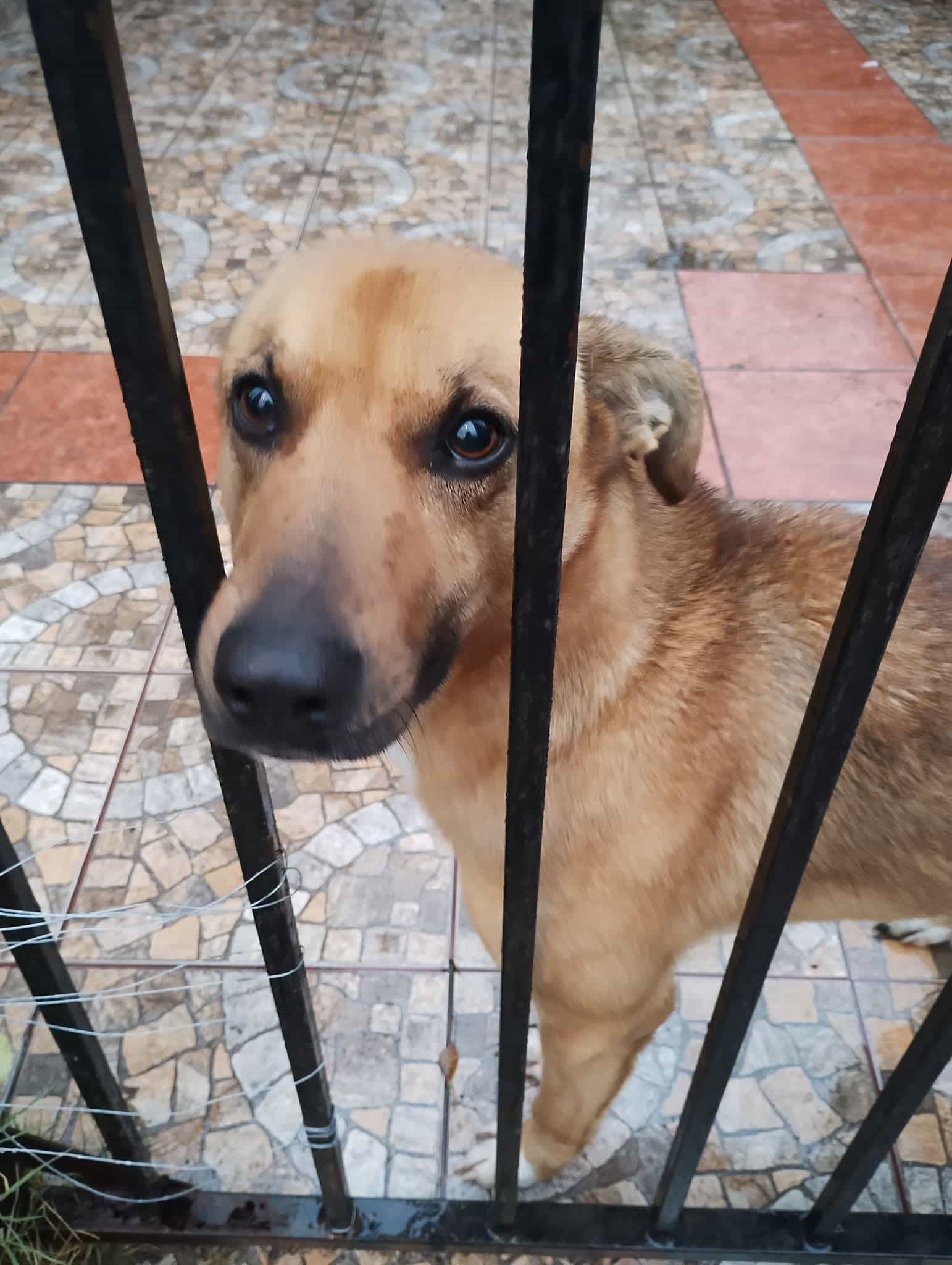 Foto de Miel