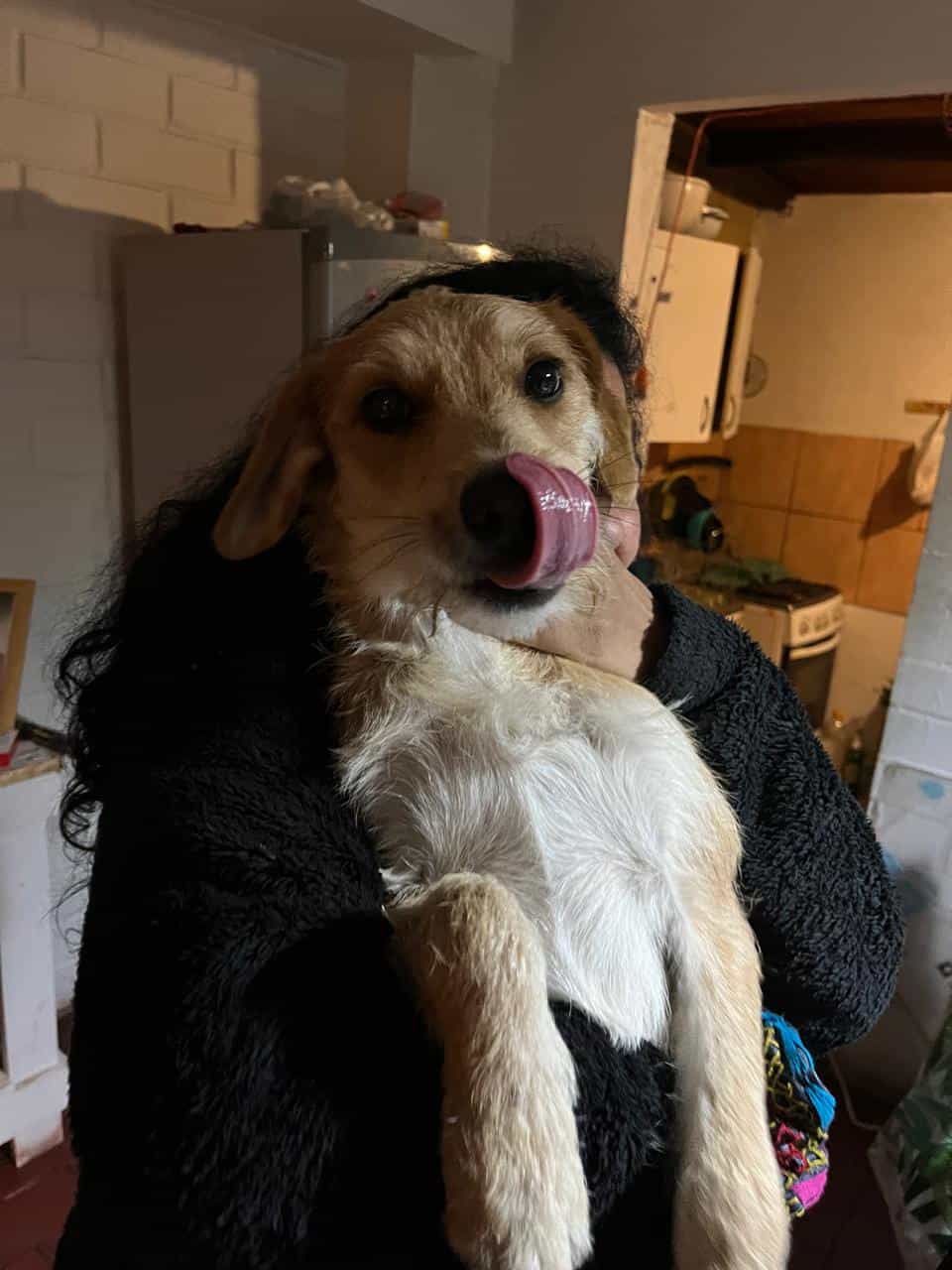 Foto de Rucio