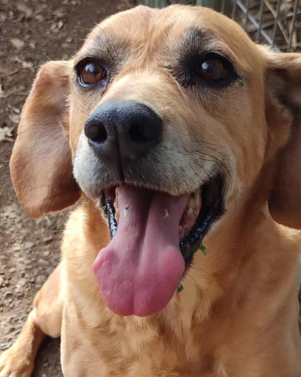 Foto de Benjamín