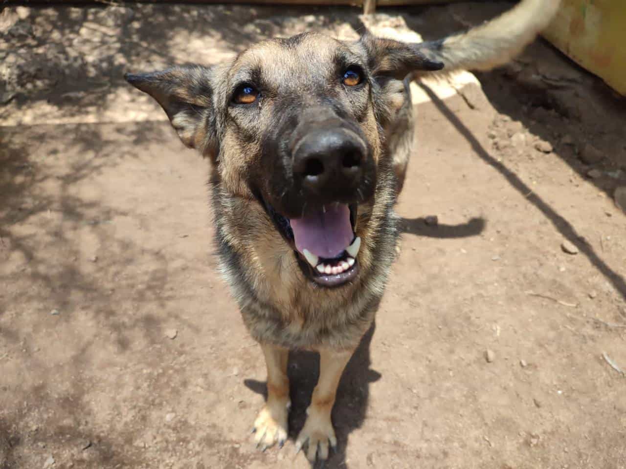 Foto de Lola