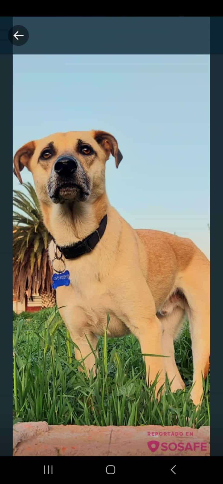Foto de Titin